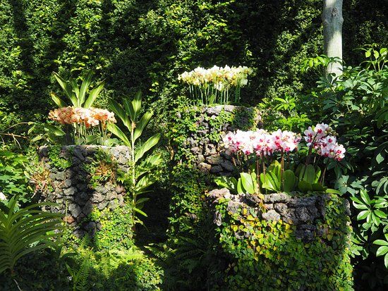 Botanische tuin van Yeomiji